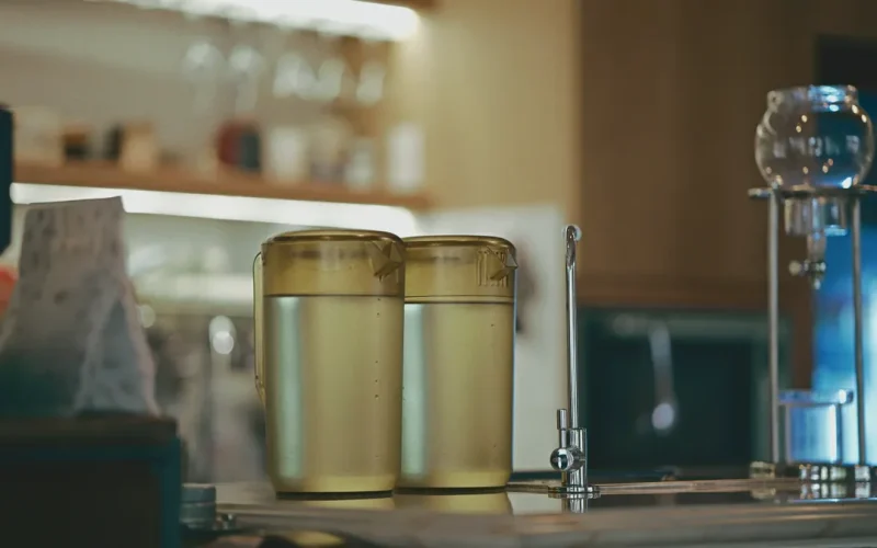 How to Choose a Filter for Hard Water Problems